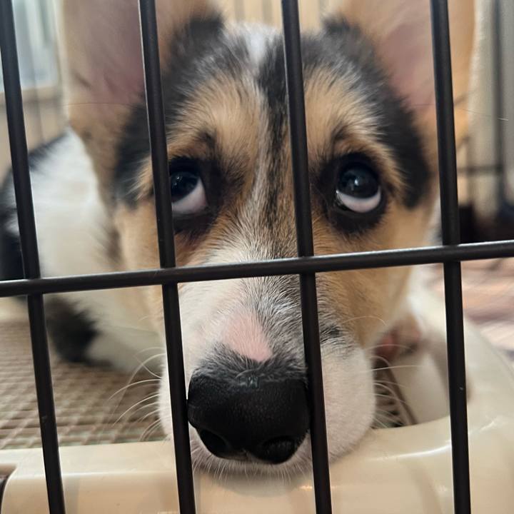 A5180f8f dcd2 4d5f 9443 5f72f4b697b1 1773883026349