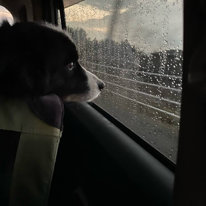 A5181969 957e 4873 99cf b4cadb999254 1639692437737