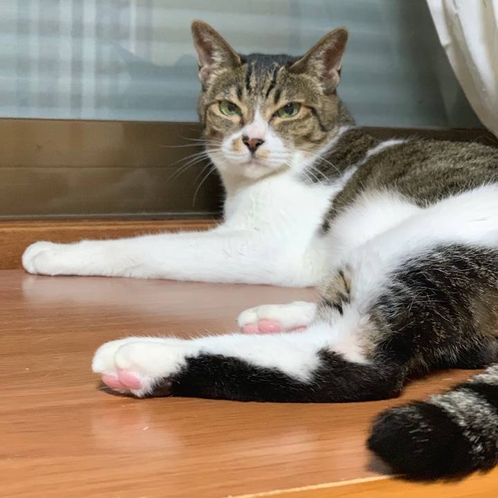 A51877da 62d9 4eff ac24 0cec1ae5dcc3 1564617187402