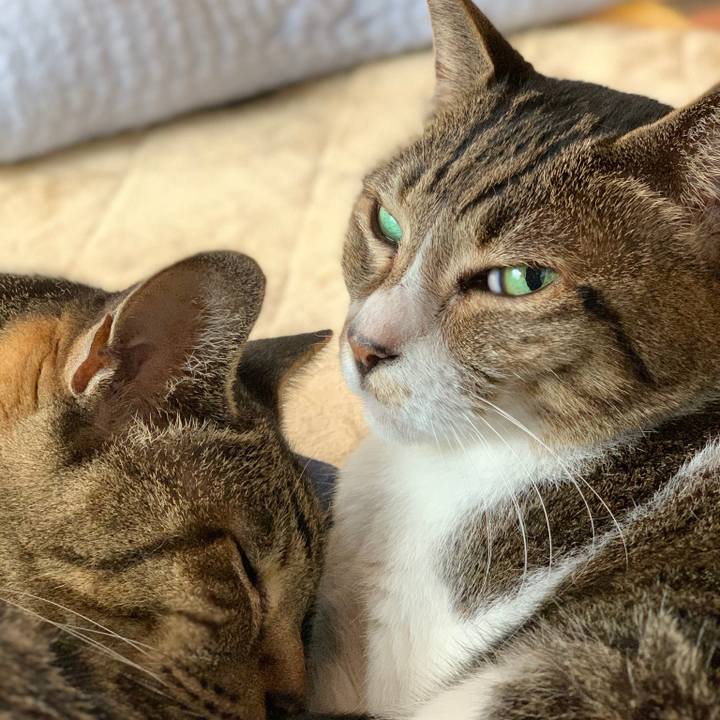 A5187b9c f955 47a5 a785 dee4134c69b8 1571533997429