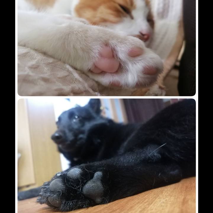 A51883eb 5220 4ab1 9275 0f0489e82862 1655595129188