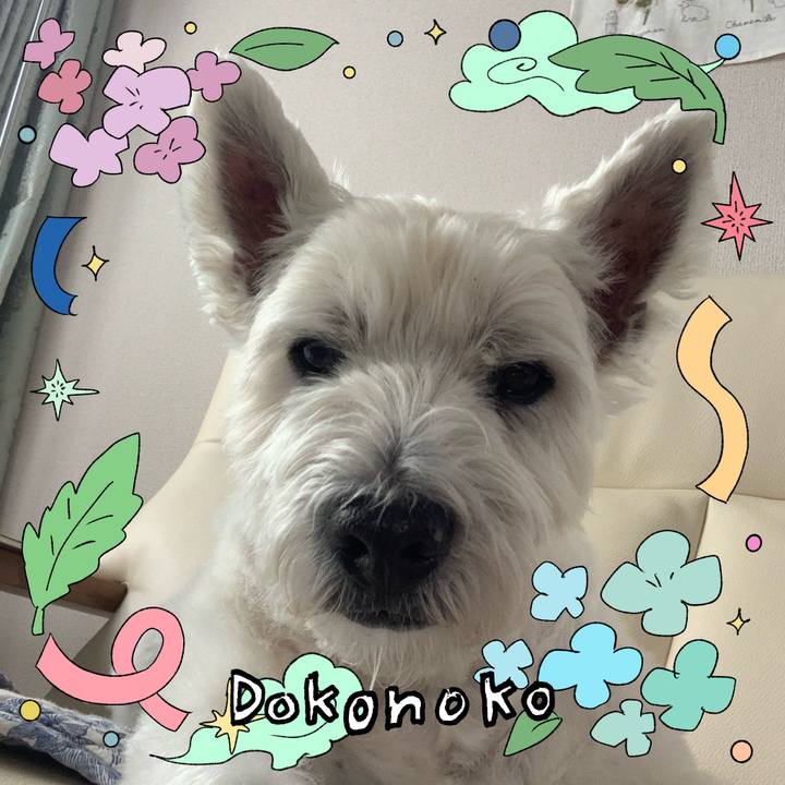 A518a390 a24b 453d 8b6b 711937d432c9 1718001103555