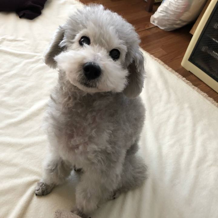 A518b1b9 f92b 4c8d 962b 06537bc14335 1544759776113