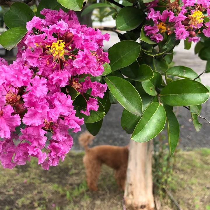 A518c7c3 597b 4df7 9e58 4c5d35a9a9e3 1600744743317