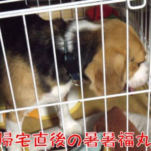 A518dc3c 654c 436a b137 fa5316b781d8 1720389469096