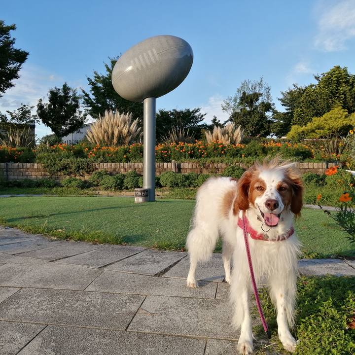 A518e904 72ac 47d1 867e 88bcfef51452 1600083742216