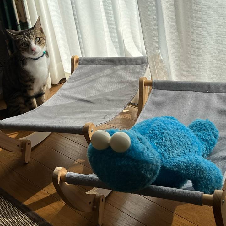 A5192790 f8f0 40dd 9495 8d5694b8d6c7 1724312233204