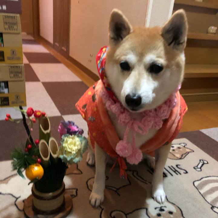 A5193c5d d48b 4ef1 a6bb cb9b97d41c93 1609330185189