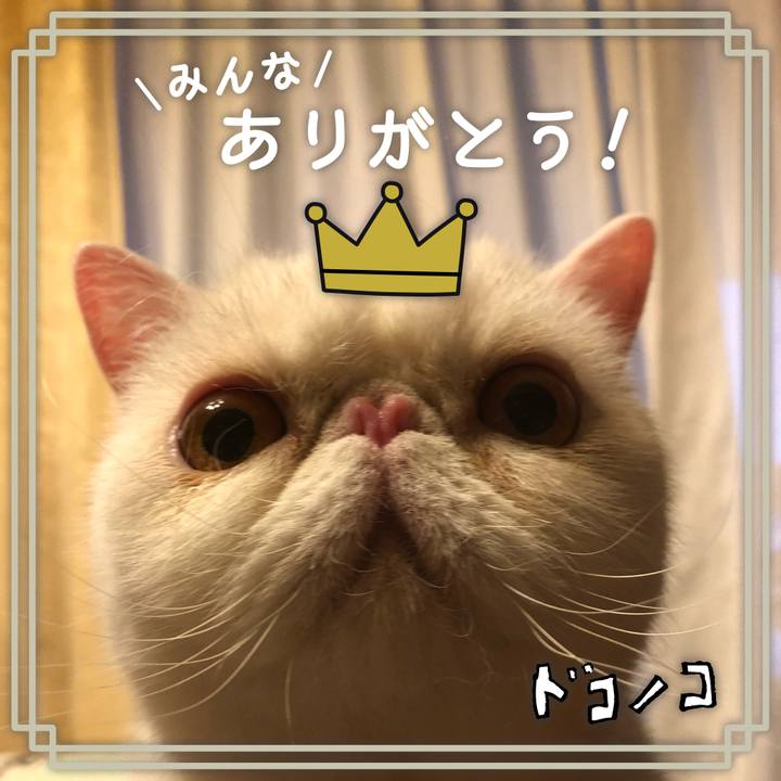 A5194149 b6a9 4eb2 b41b 2bfa742025aa 1622944710945