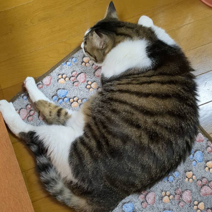 A5199b42 06ff 4c5c 87f9 3d9d5855ea02 1680657826555