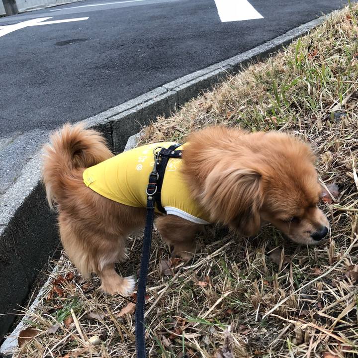 A5199bb2 24d4 4c1c 829f 468891ba413e 1514681167249