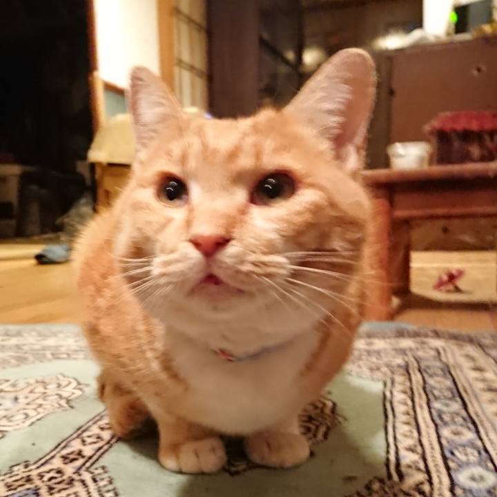 A519a1de 536e 4e27 9b5d c1d97c94b2e2 1576659199912