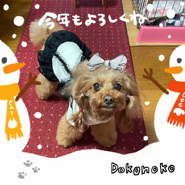 A519d244 c5db 4bda b8ae 857ce036be45 1704076619096