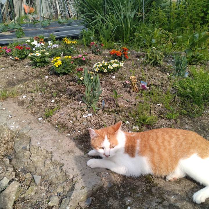 A519e0a2 b781 4acf 86fc 607db0bade57 1748335933006