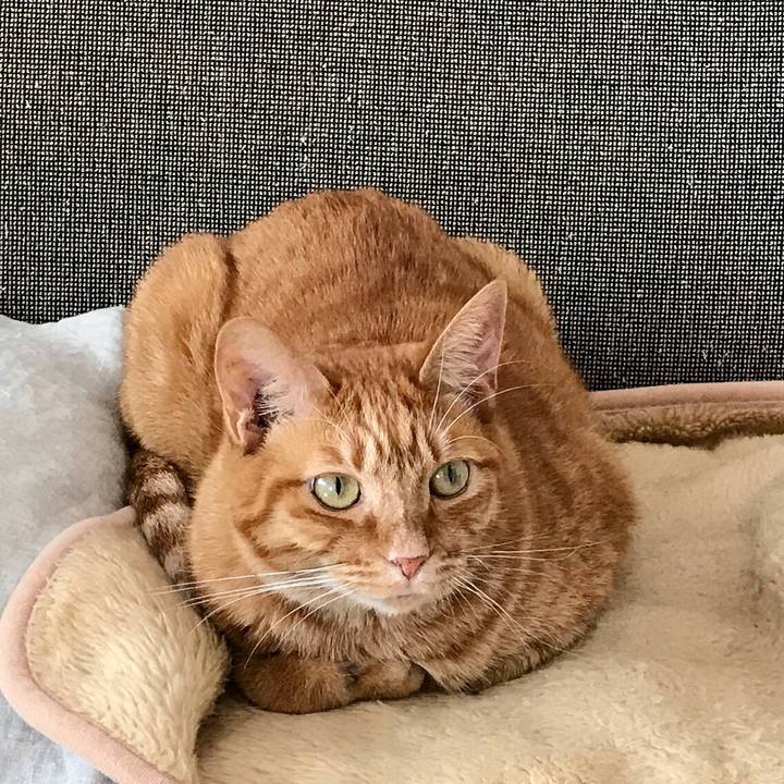 A51a0c0d c7de 41c0 a7f0 27a5ac3185db 1508121388150