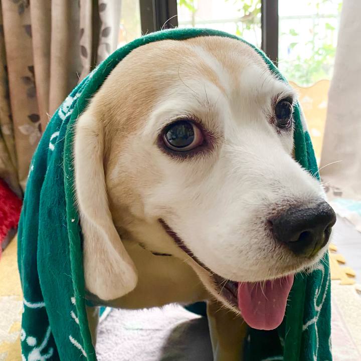 A51a43c9 cf4d 4a94 b978 7793012a4fd8 1624765260820