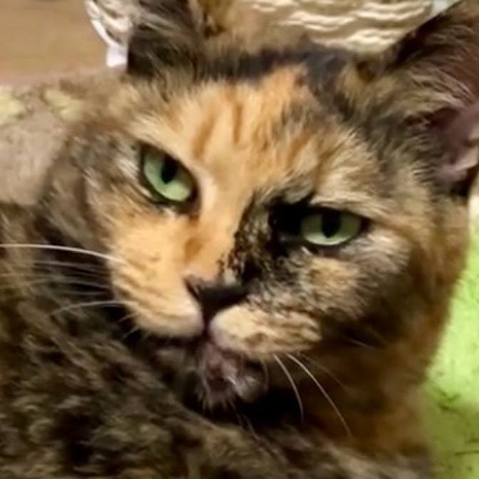 A51a8bdc f2bd 40f8 b0f1 3ee9295c216b 1729676732819