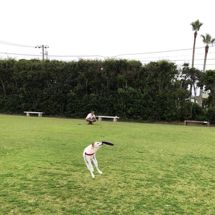 A51ad701 0b64 4c54 94ba 4af3bf30377c 1561806786380