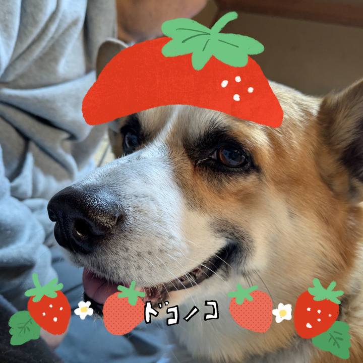 A51af9f5 fdec 447c a81c c32575e3b4df 1775870126677