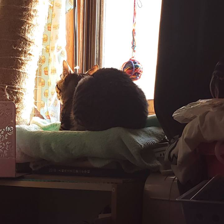 A51b167a 7f41 4a82 9dd5 6b1b1b03fc4d 1542061946971