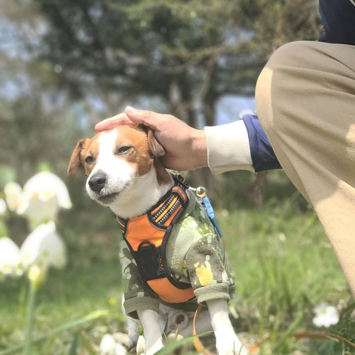 A51ba739 06d1 4074 b001 1218f2317cdb 1648884311237