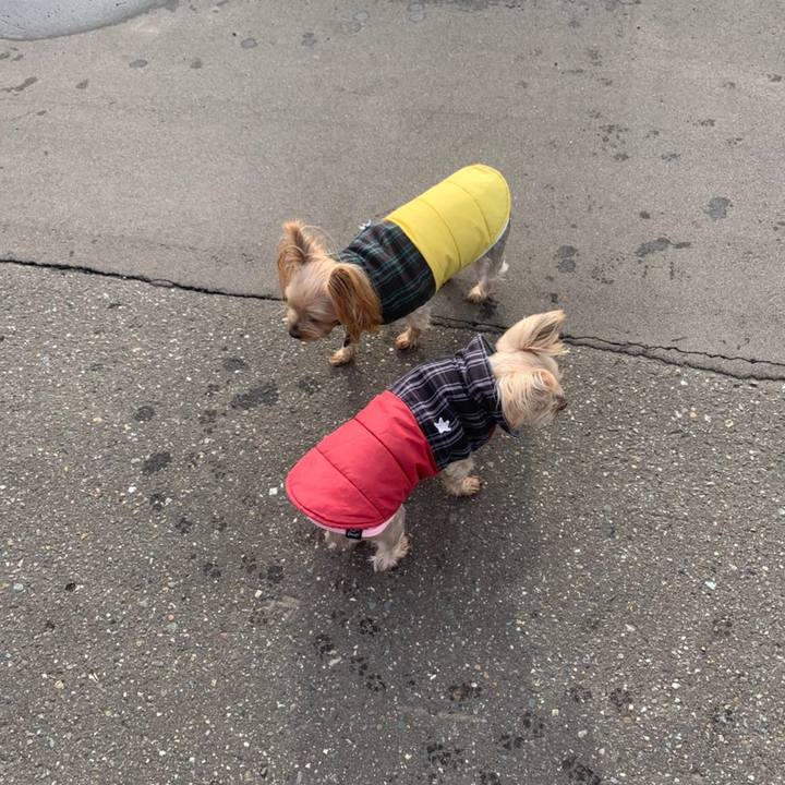 A51bc1b6 a7e1 4efc b228 788aecbf0bfc 1606298590437