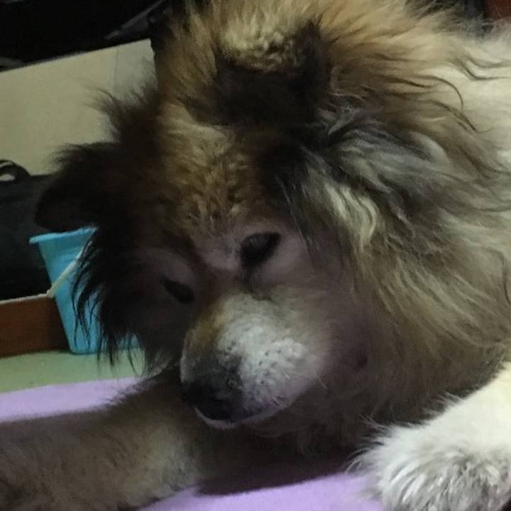 A51bcfb7 f5b8 4c6d 98ec c98b9afd07c8 1637313315608