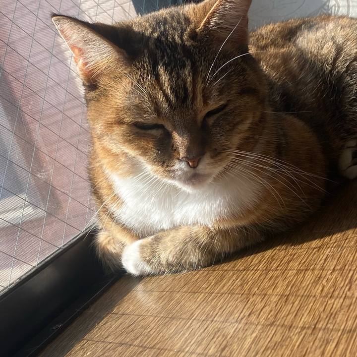 A51bdf36 91c9 4155 aabe 794b7d941e2c 1668820656351