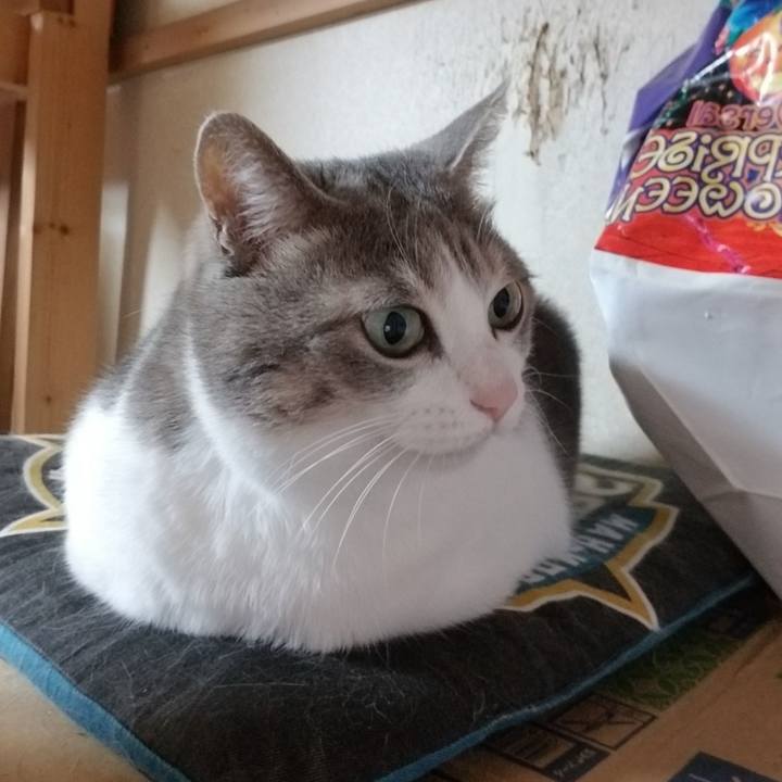 A51bed05 10aa 4dc7 9958 cc06c3680185 1606745082157