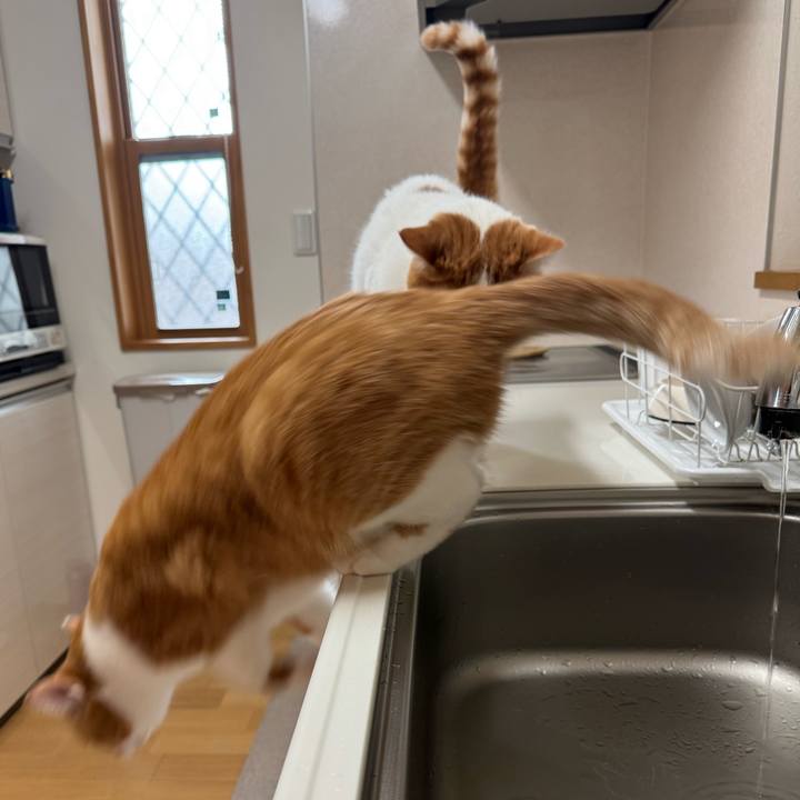 A51bef24 7c25 46e9 bd37 e84340946f21 1763605466786