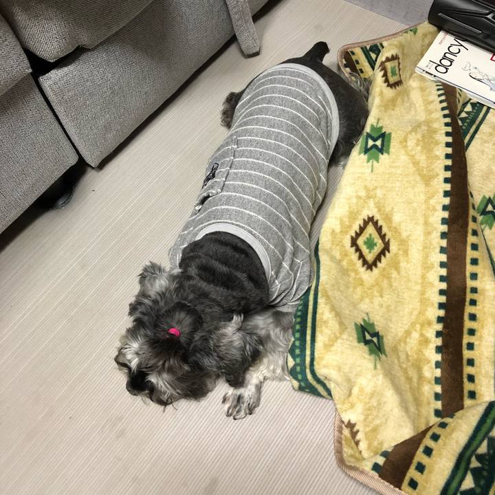 A51c26a5 aa7f 4c0a bd32 d78d1b4fae56 1619693536440