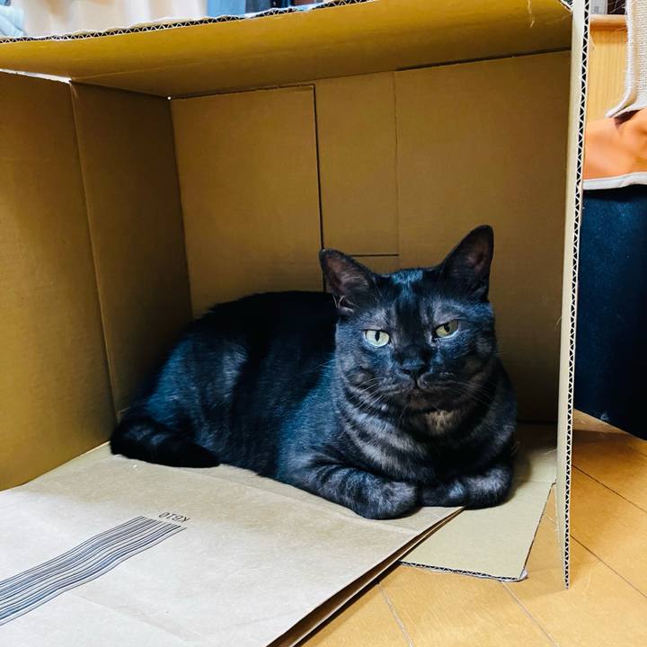 A51c4417 8bd2 4c80 bae7 0e1e1367cd7c 1746316215987