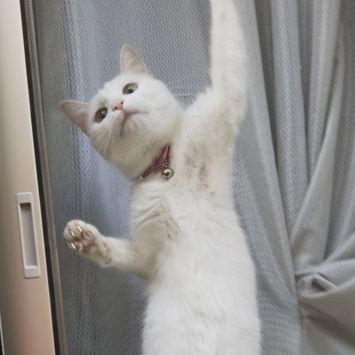 A51c4c69 410a 4005 a8a5 3a0451be3f8b 1627195882127