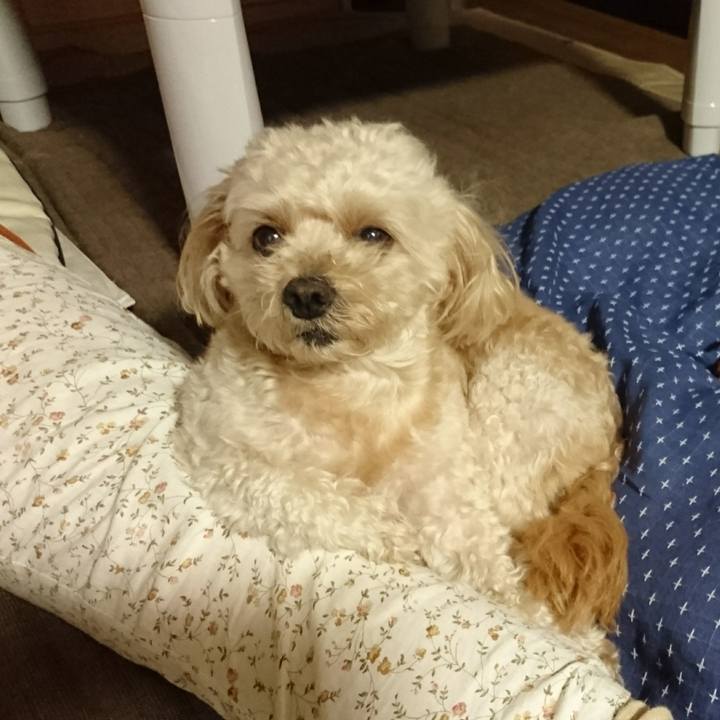 A51cb83f 38c1 44a2 a832 1df8e11f8a54 1536157298107