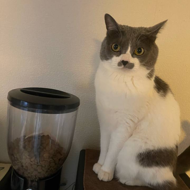 A51ccb36 8b7a 492c a130 4d010d87c590 1739663777659