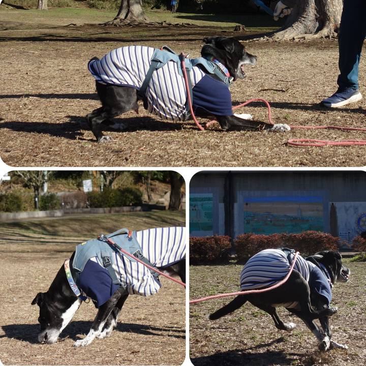 A51ccf05 703f 4d2d a7b3 f62434a3dee4 1741307799402