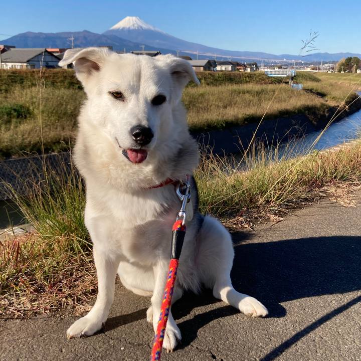 A51d06f3 1bef 440c b2f5 cf20c34885dc 1641006793774