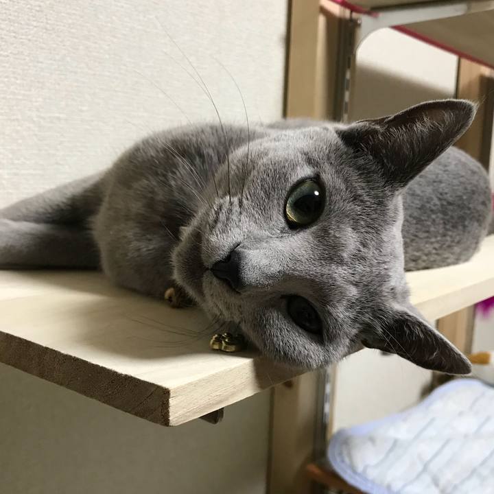 A51d1168 e06c 496e 85b8 b89207ba2b52 1525957333951