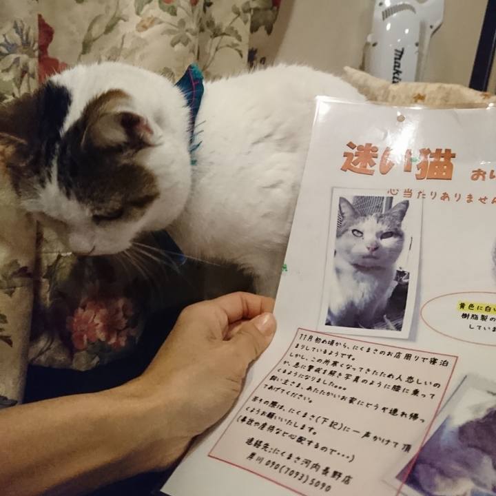 A51d1c8c 534a 4b1f a949 b3560ac00c4f 1577034576976