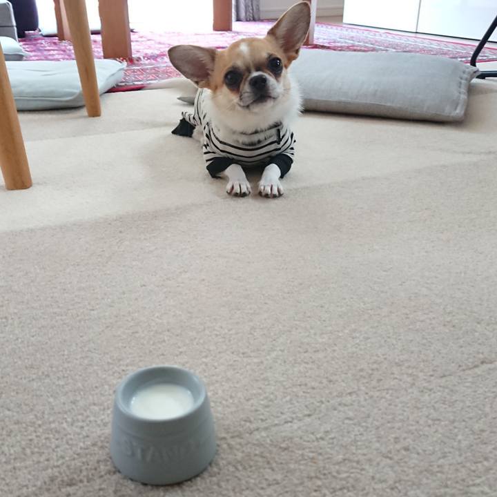 A51d6b91 b3d3 4dfe 8f7e c49b7bcc1f1e 1555204525824