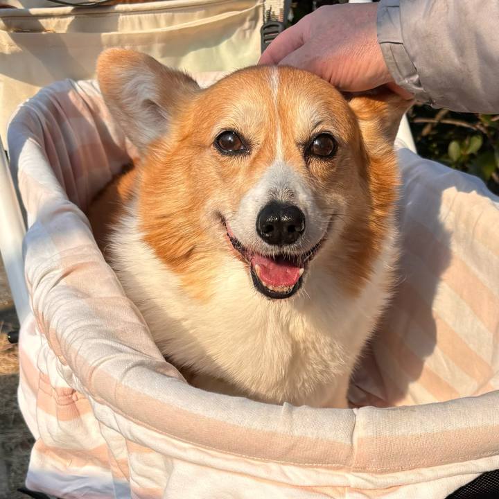 A51de582 559c 43ad be77 aa2f862fb520 1771126387808