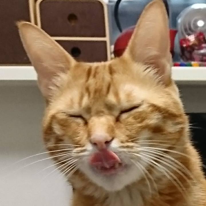 A51deb82 92c8 4c6c 99d7 e32c74dd9db3 1521116589374