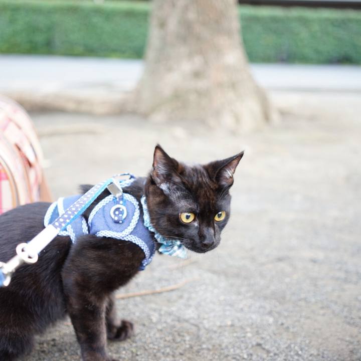 A51dfde1 a8b3 4cd2 95d5 65739fdecb90 1510381412384