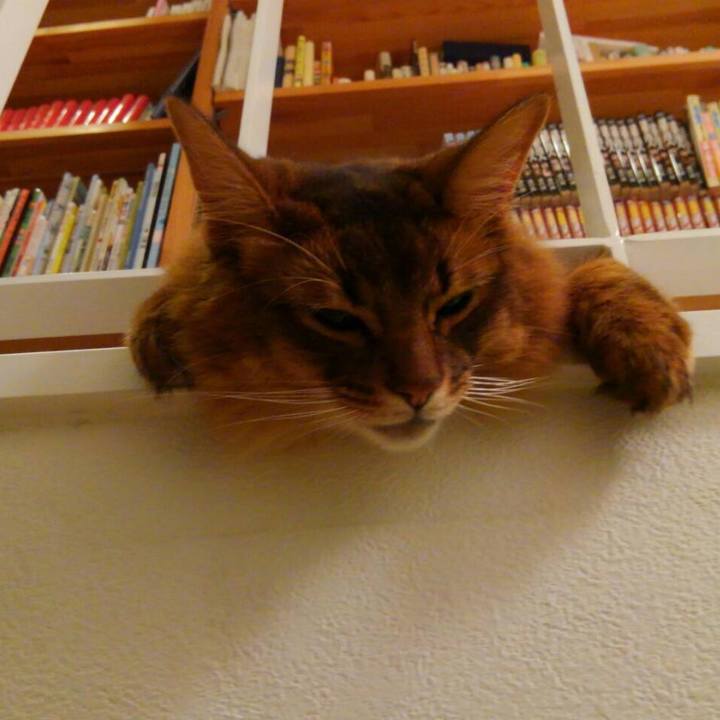 A51e2053 8f9e 4339 9e19 a614a24fc406 1625723155156