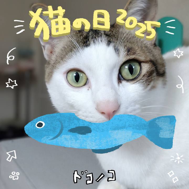 A51e2a84 8dfc 4e58 8284 bfbe755dee5c 1740137849608