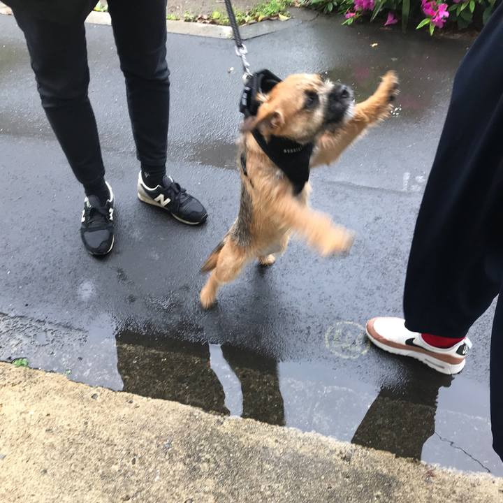 A51e2de0 380f 467a 9589 44bb7d4781cc 1524026039396