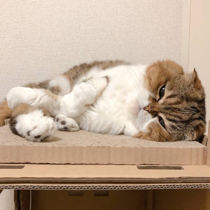 A51e4231 095f 4c5c 8735 a05ea19e4f22 1600952902761