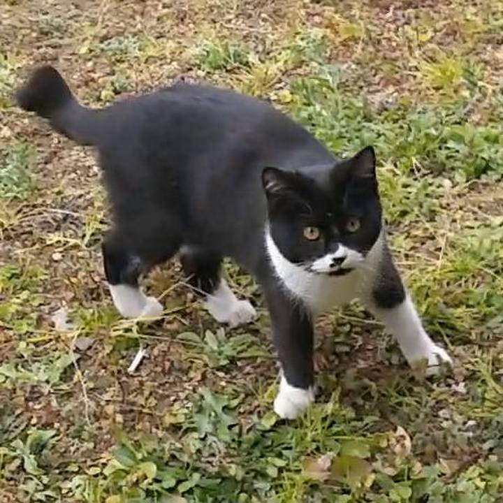 A51ea9b5 6dbf 4e12 814b 13e74d69c9f0 1549169707796