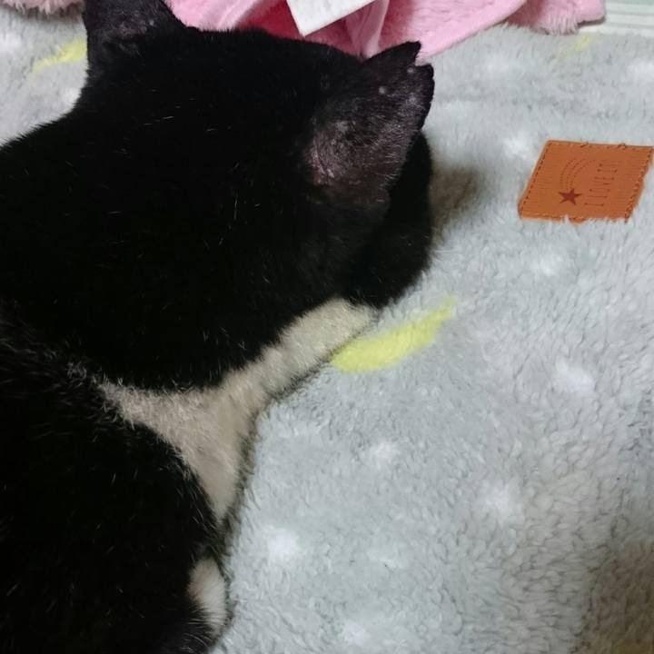 A51eab42 bcb1 40e0 a329 395daf4d037c 1508908388014