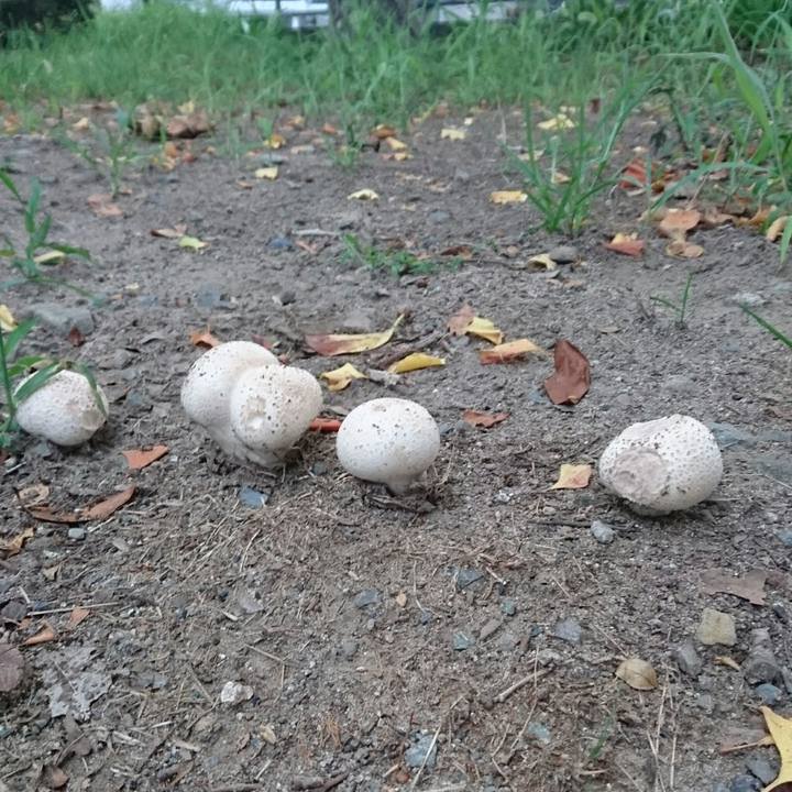 A51ecd09 6a05 4e71 83d7 a44e3611525b 1536059930355